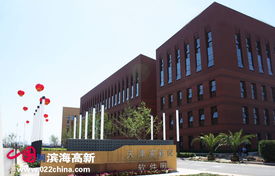 政策利好振翅高飛，天津七成軟企匯聚濱海新區領航軟件外包